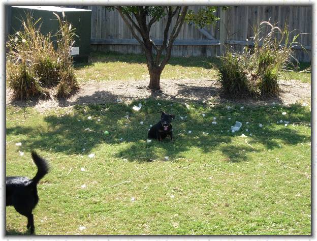 You have reached the last slide