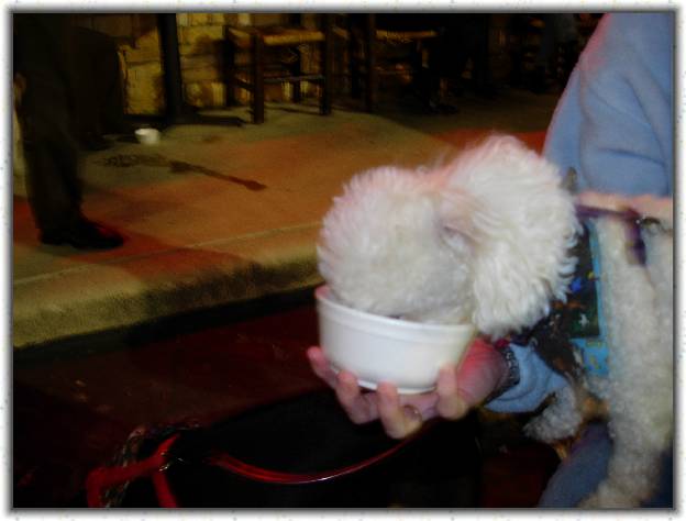 You have reached the last slide