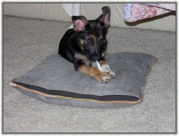 You have reached the last slide