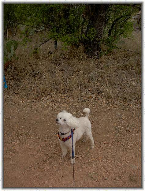 You have reached the last slide