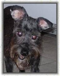 You have reached the last slide