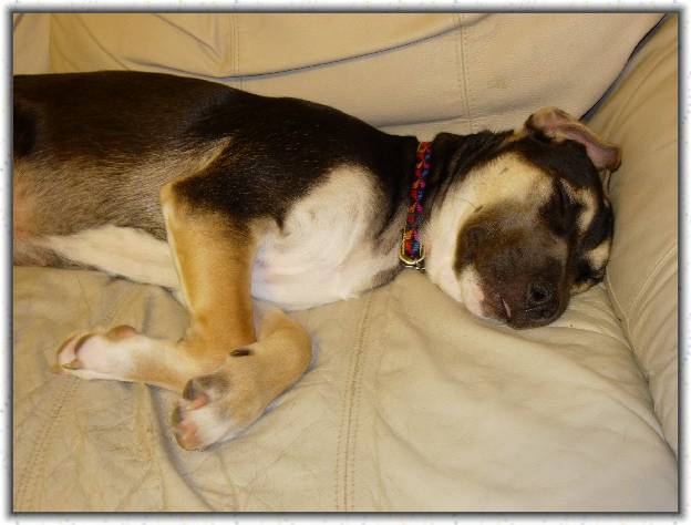 You have reached the last slide