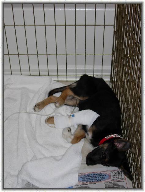 You have reached the last slide