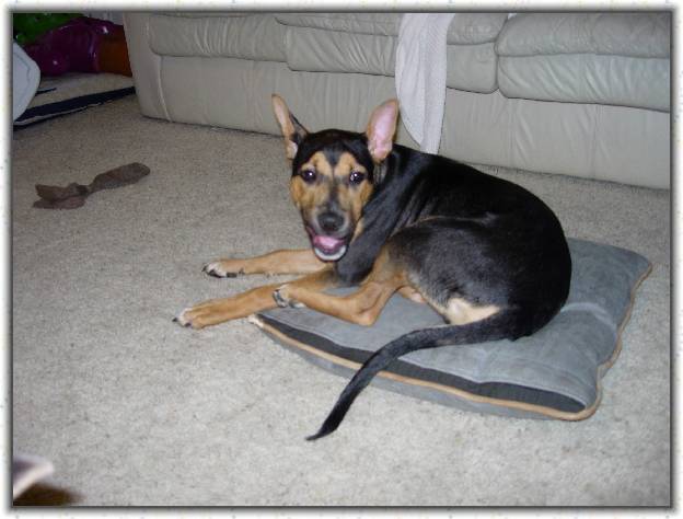 You have reached the last slide