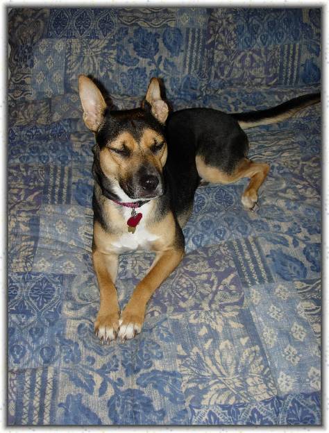 You have reached the last slide